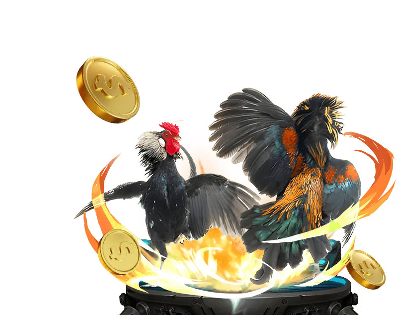 Chiến thuật săn cá hiệu quả